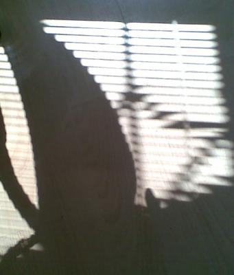 Прикрепленное изображение: Image060_2r.jpg